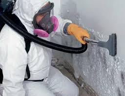 Best Biohazard Mold Removal  in Navesink, NJ